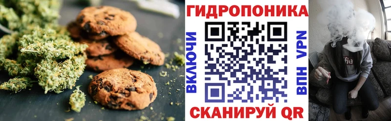 blacksprut онион  Кыштым  Canna-Cookies конопля  купить наркоту 