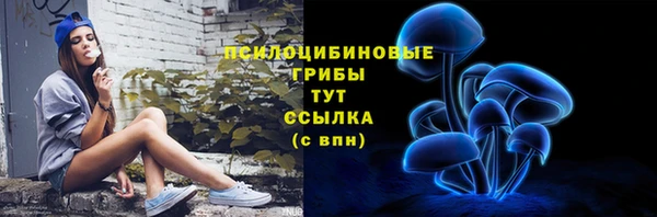 стафф Краснотурьинск