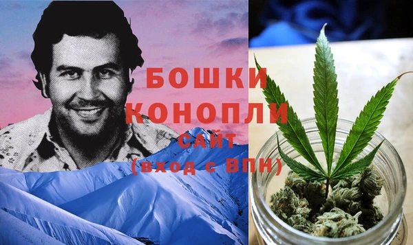 дмт Костерёво