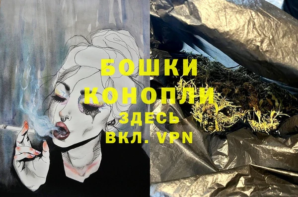 амф Корсаков