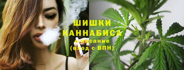 дмт Костерёво