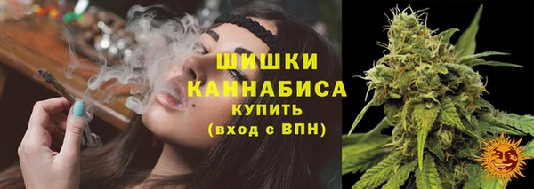 амф Корсаков