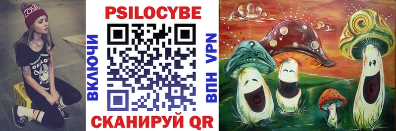 купить  цена  Кыштым  Псилоцибиновые грибы мухоморы 