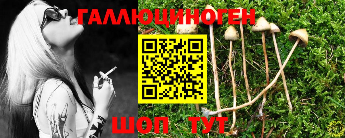 Галлюциногенные грибы мухоморы  Вход с VPN  наркошоп  Кыштым 